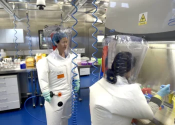 يشبه «كوفيد»… اكتشاف فيروس كورونا جديد لدى الخفافيش في مختبر صيني