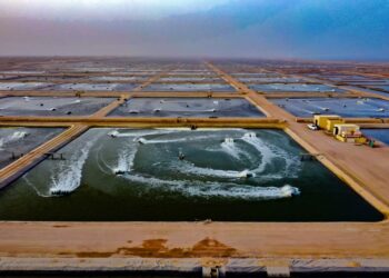 قطاعُ الثروة السمكية في سلطنة عُمان يحقق نموًّا بـ 7.5 بالمائة
