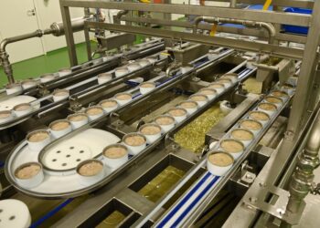 إنجاز المرحلة الأولى من المخطط التفصيلي لمجمع الصناعات السمكية والغذائية بالدقم