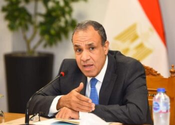 وزير الخارجية المصري: نرفض أية تحركات من شأنها المساس بأمن لبنان