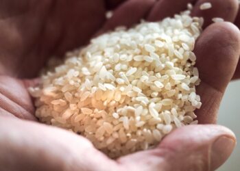 صحيفة: الأرز يتسبب بفضيحة تعصف بالحكومة اليابانية