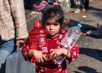 الإمارات تنفذ مشروع ضخم مع مصر لدعم غزة