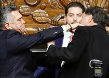 المكسيك.. "مجلس الشيوخ" يتحول إلى حلبة مصارعة (فيديو)