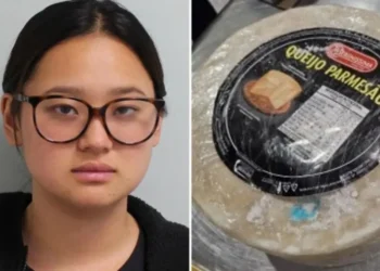 محاولة تهريب غريبة.. كوكايين بمليون دولار داخل قالب جبن