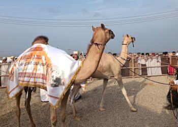 انطلاق فعاليات ولاية سدح ضمن موسم خريف ظفار 2025